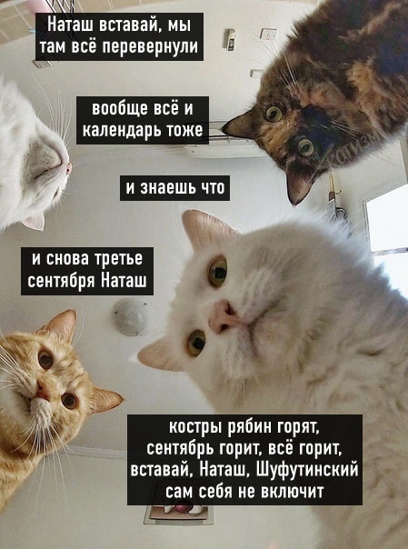  3 !            3 ,    ,  , 