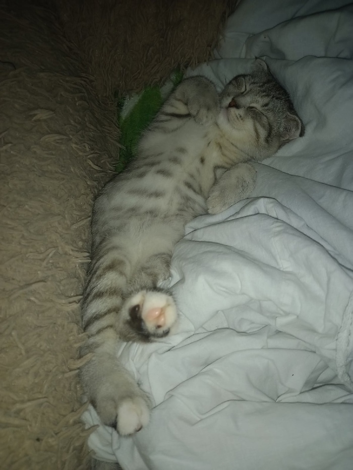 ���������� �� ������