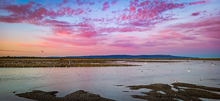 Любительские Фото С Отдыха На Море Девочки