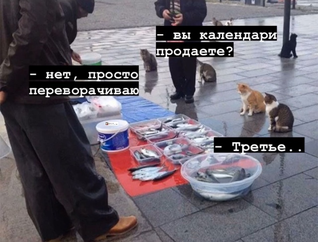 ��������� ���������������?