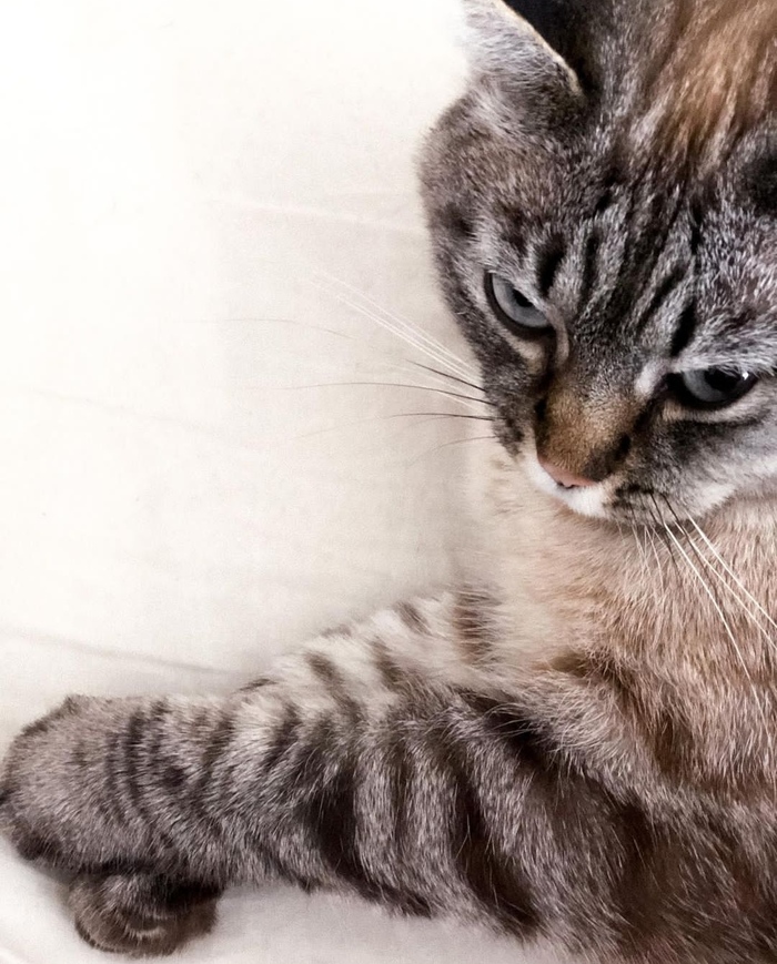 ������ �� ������������� ����� � ���� �������