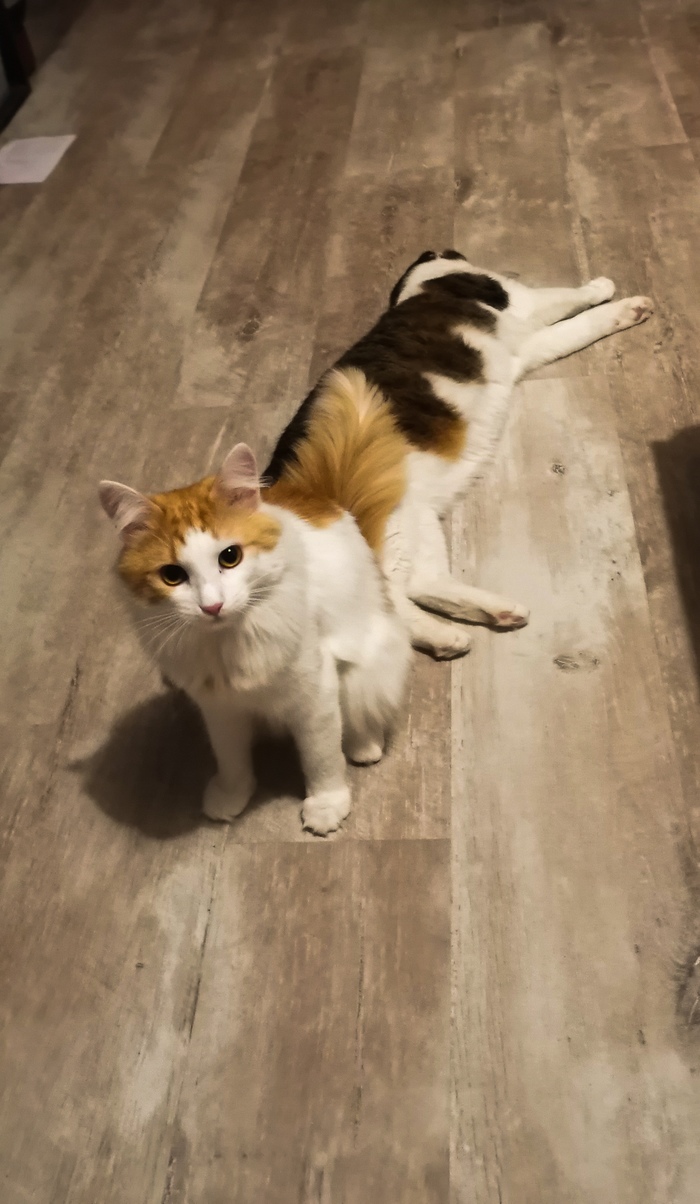 Тут посижу. Удобное