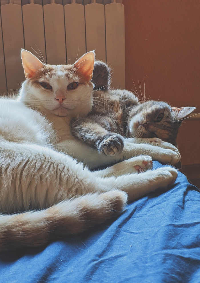 Всем пятничное мя | Пикабу