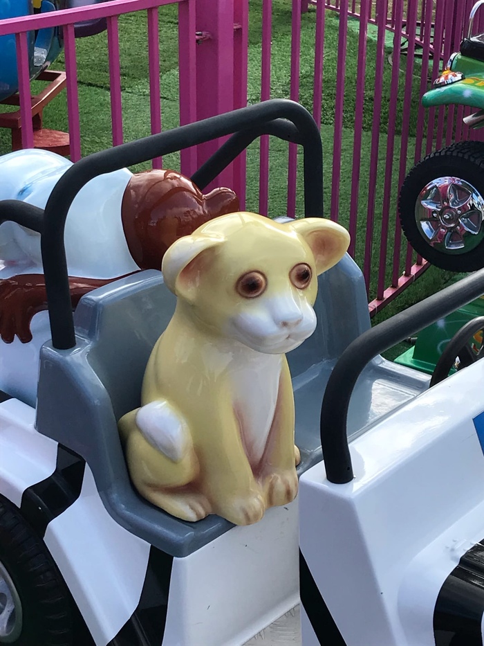 ����� ���������