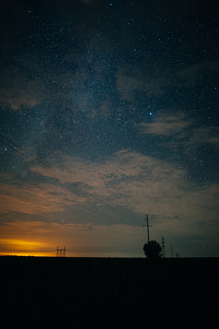 ������ ����