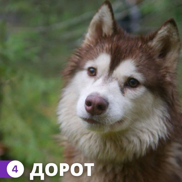 что делать с гришей. Смотреть фото что делать с гришей. Смотреть картинку что делать с гришей. Картинка про что делать с гришей. Фото что делать с гришей
