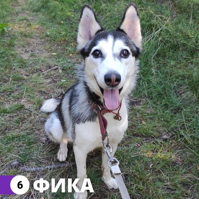 что делать с гришей. Смотреть фото что делать с гришей. Смотреть картинку что делать с гришей. Картинка про что делать с гришей. Фото что делать с гришей