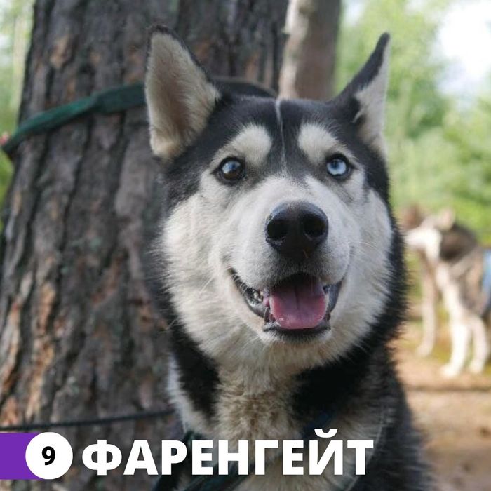 что делать с гришей. Смотреть фото что делать с гришей. Смотреть картинку что делать с гришей. Картинка про что делать с гришей. Фото что делать с гришей