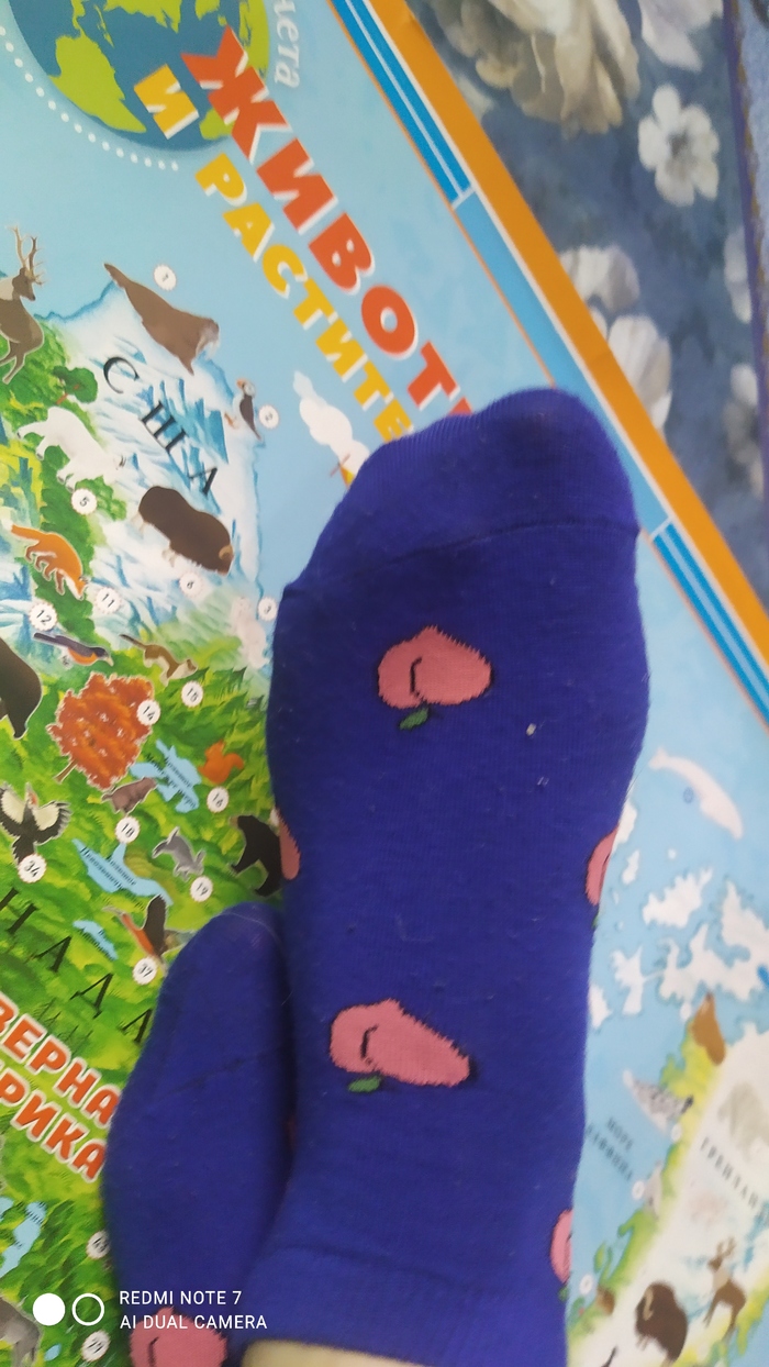 Жена сказала что у нее на носках изображены сливы.... Вот думаю на что, но на сливы явно не похоже)