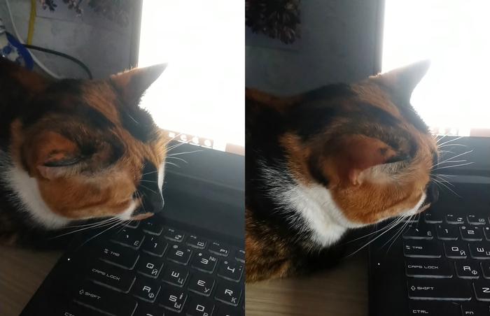  ...   , ,  