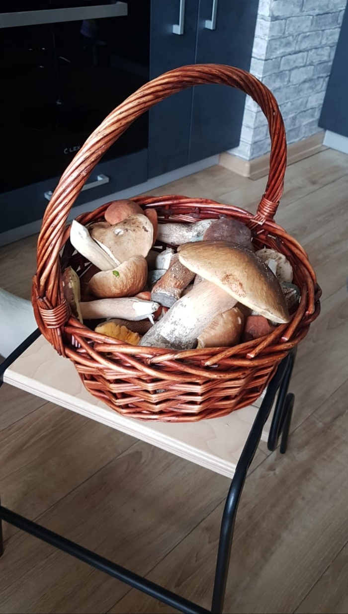 Грибы здорового человека...