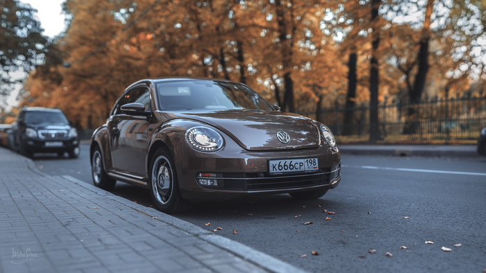    , Porsche, Volkswagen Beetle, 50mm, 