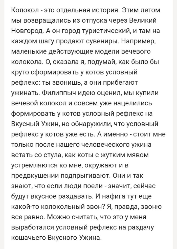 ���� ��������