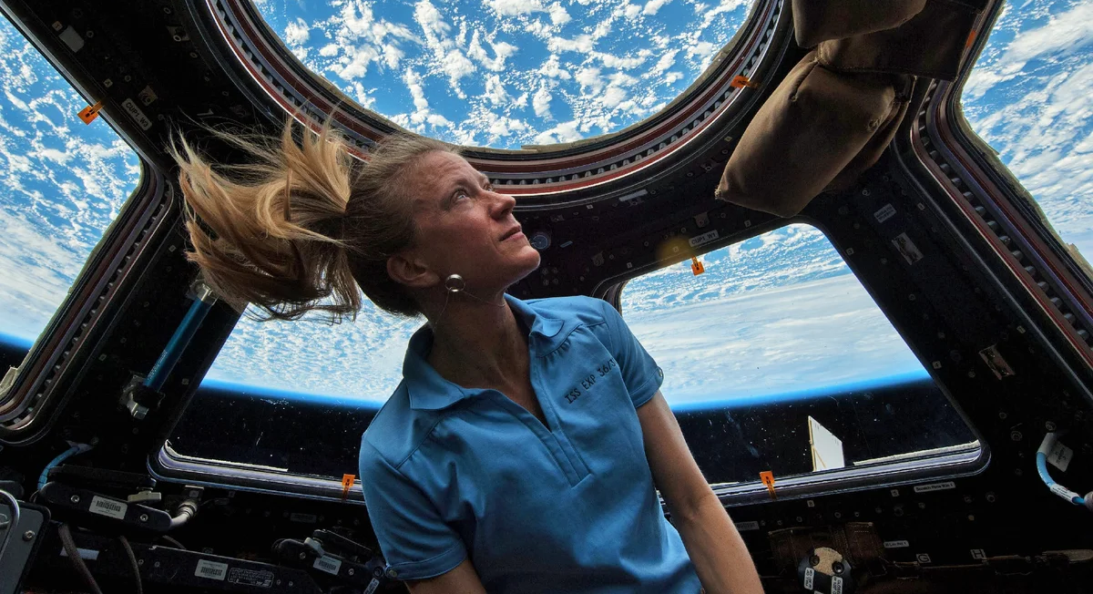 Dibs in space