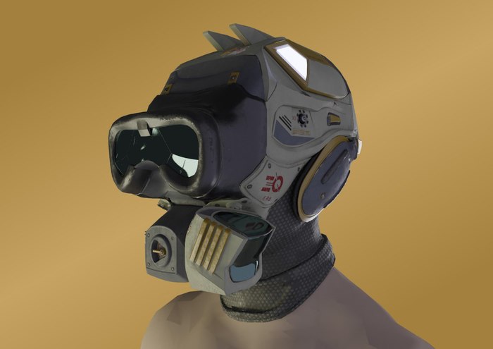 Disinfector helmet