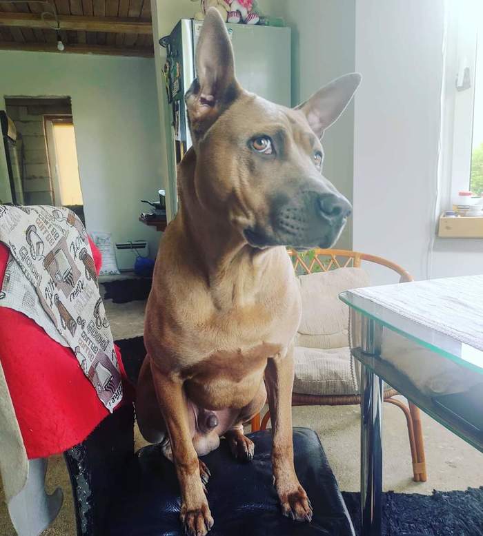 Ты это серьезно?