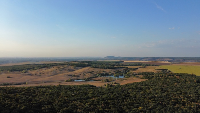   DJI, , , , 