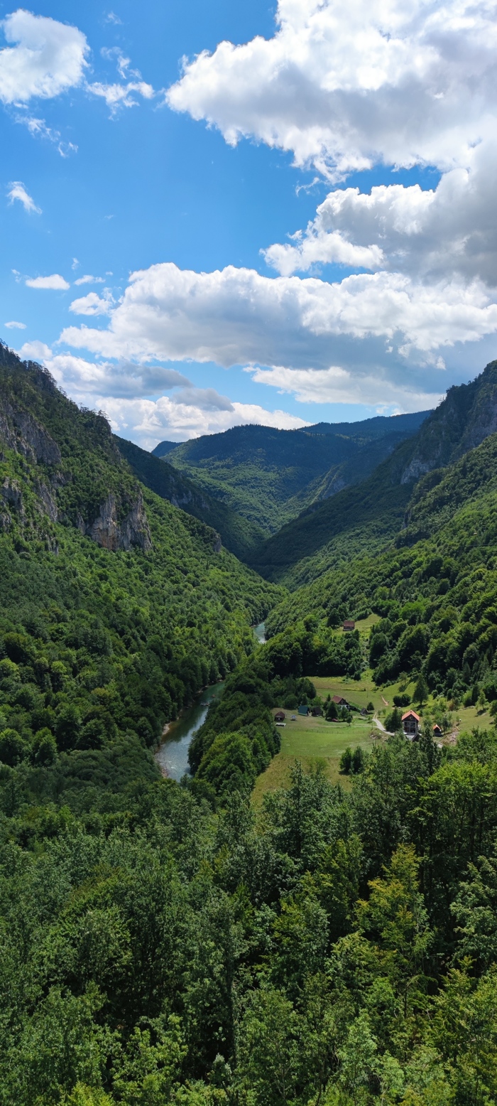 �������� ���