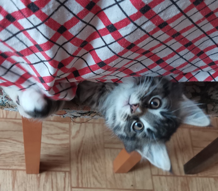 � ��� ��� ����� ����?