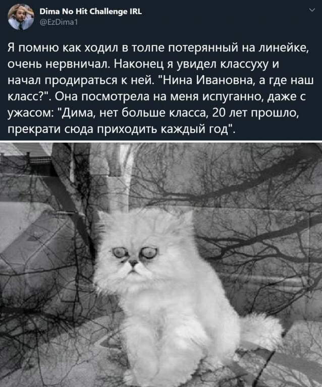 1 сентября | Пикабу