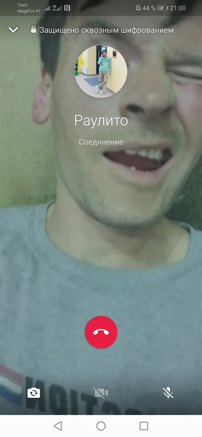 �������� �������� �����������