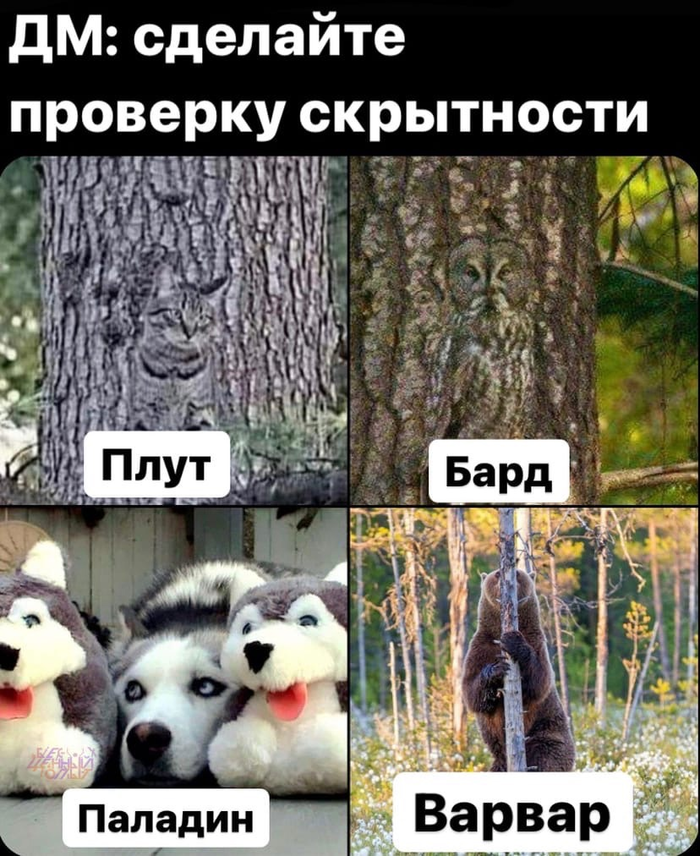 Скрытность