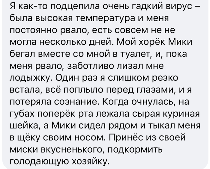 как узнать оператора кабельного телевидения по адресу в москве. 1631133281154815952. как узнать оператора кабельного телевидения по адресу в москве фото. как узнать оператора кабельного телевидения по адресу в москве-1631133281154815952. картинка как узнать оператора кабельного телевидения по адресу в москве. картинка 1631133281154815952.