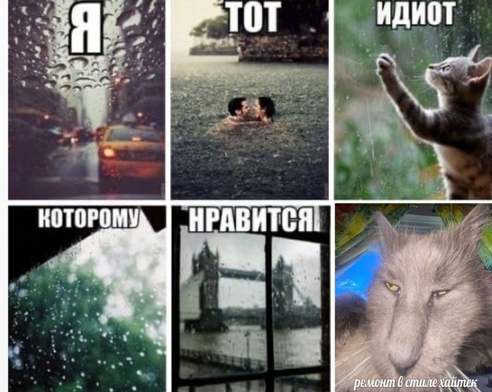    Dank Memes, 