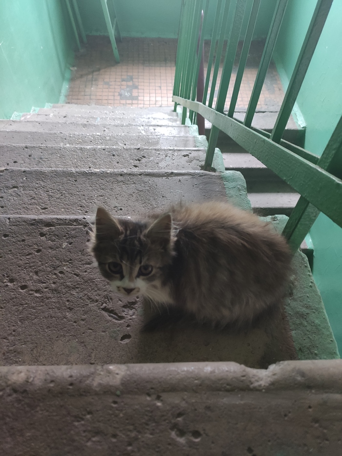 �������������� ��������� ������� ���� ���