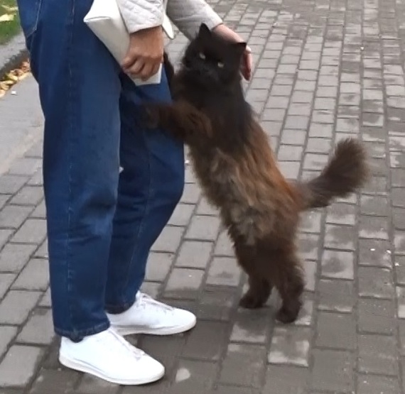 мне кажется ты что то не договариваешь. Смотреть фото мне кажется ты что то не договариваешь. Смотреть картинку мне кажется ты что то не договариваешь. Картинка про мне кажется ты что то не договариваешь. Фото мне кажется ты что то не договариваешь