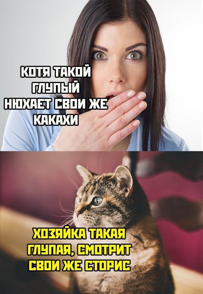 И кто из них глупый?