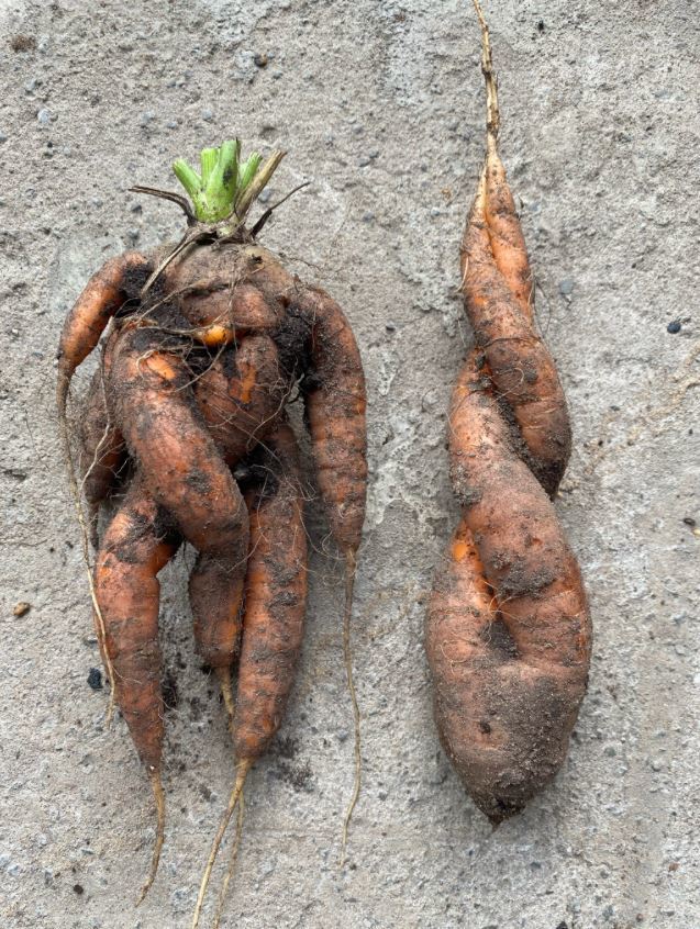 ����� ���, ����� � ������