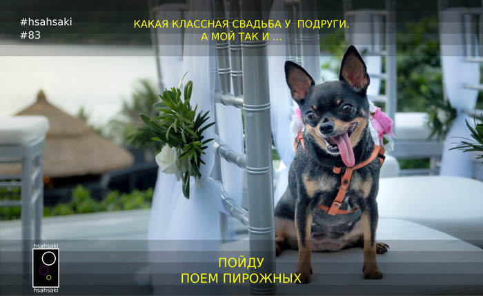 с днем свадьбы мем. Смотреть фото с днем свадьбы мем. Смотреть картинку с днем свадьбы мем. Картинка про с днем свадьбы мем. Фото с днем свадьбы мем