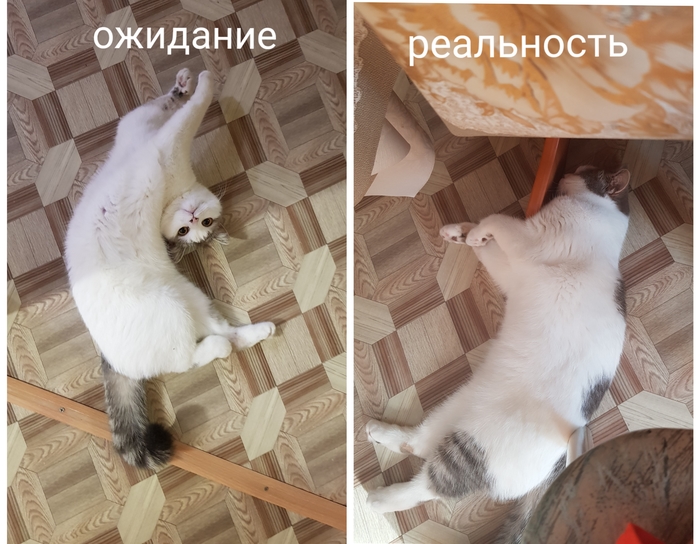 ��� � ����