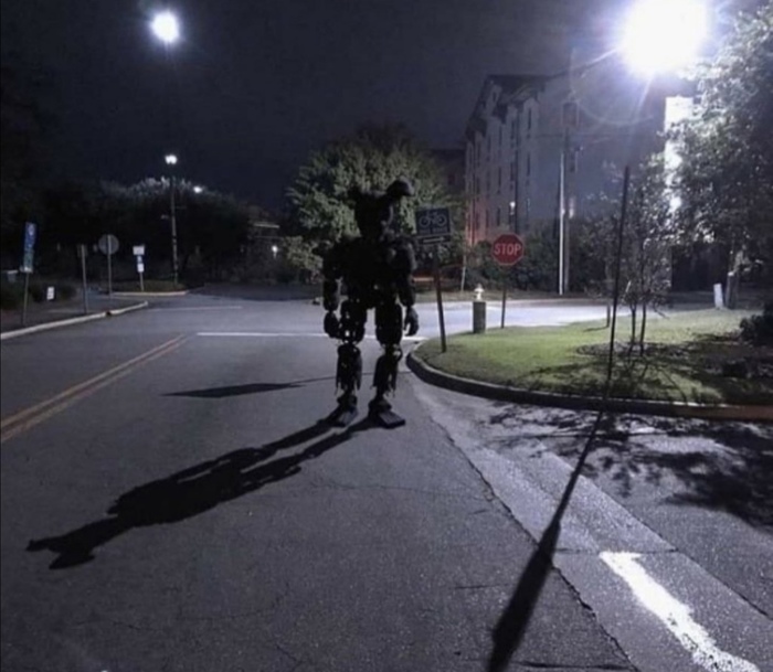 ���� - ����