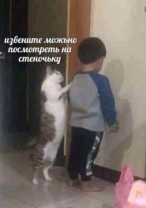 О чем фильм? А! Опять про море!