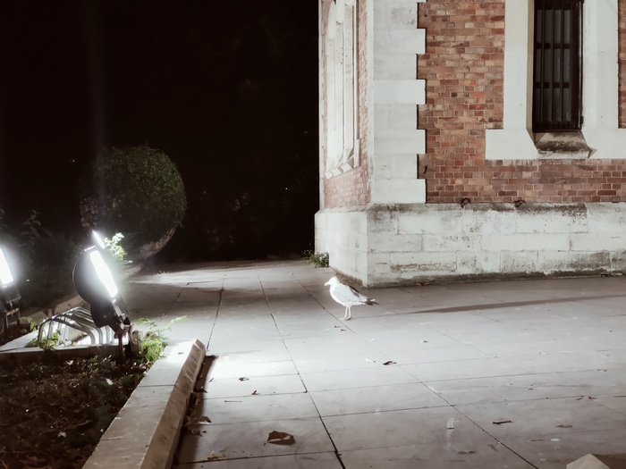 ����� � ���� �� ������