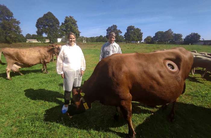 ������ � �������� � ����� ����