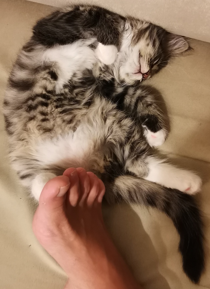 ������� ��������. �� ������ ���� ����..... �� �� ����� ��� �����, � �� ����� �� �������