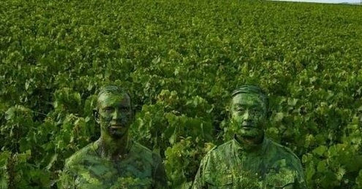 Хорошо, что ты такой зеленый | Пикабу
