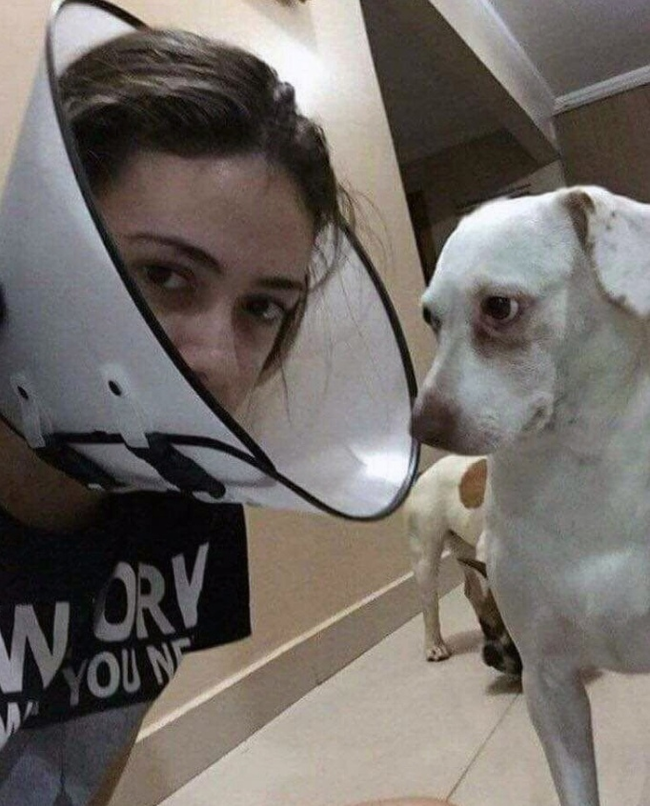 как показать собаке что ты ее любишь очень. Смотреть фото как показать собаке что ты ее любишь очень. Смотреть картинку как показать собаке что ты ее любишь очень. Картинка про как показать собаке что ты ее любишь очень. Фото как показать собаке что ты ее любишь очень как показать собаке что ты ее любишь очень. Смотреть фото как показать собаке что ты ее любишь очень. Смотреть картинку как показать собаке что ты ее любишь очень. Картинка про как показать собаке что ты ее любишь очень. Фото как показать собаке что ты ее любишь очень