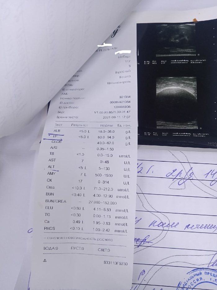 Что тут написано в этом кружке 2 слова. Смотреть фото Что тут написано в этом кружке 2 слова. Смотреть картинку Что тут написано в этом кружке 2 слова. Картинка про Что тут написано в этом кружке 2 слова. Фото Что тут написано в этом кружке 2 слова