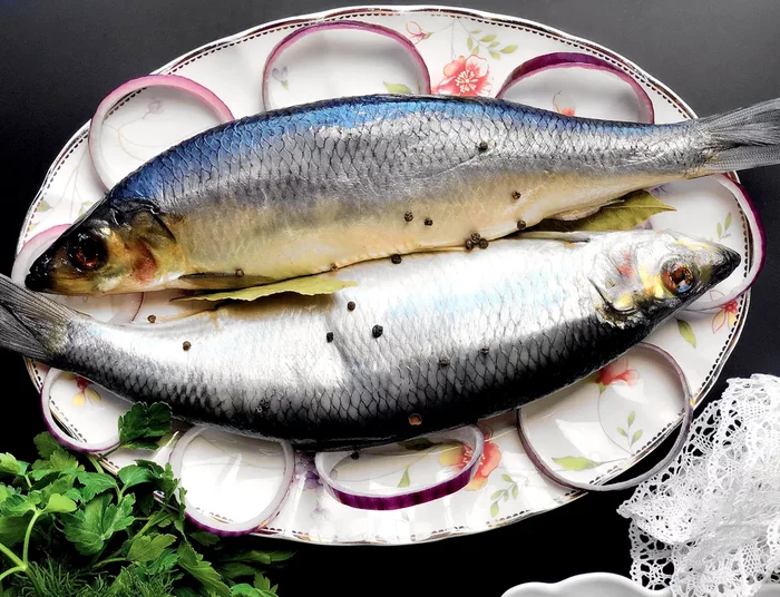 Небольшая история селедки Cat_cat, История, Текст, Рыба, Селедка, Нидерланды (Голландия), Длиннопост, Повтор Небольшая история селедки Cat_cat, История, Текст, Рыба, Селедка, Нидерланды (Голландия), Длиннопост, Повтор