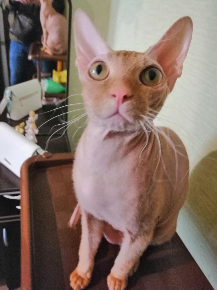 А чё, всмысле?