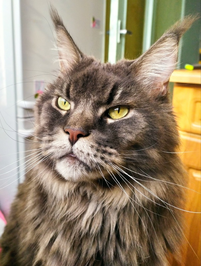 Недовольство