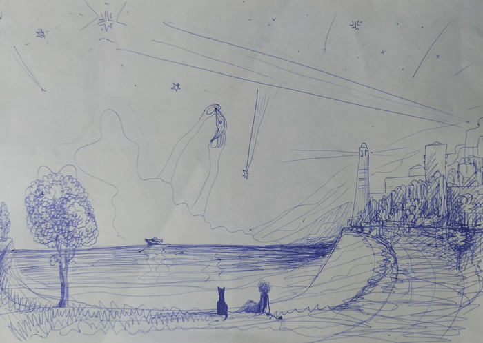 Звездопад в Геленджике