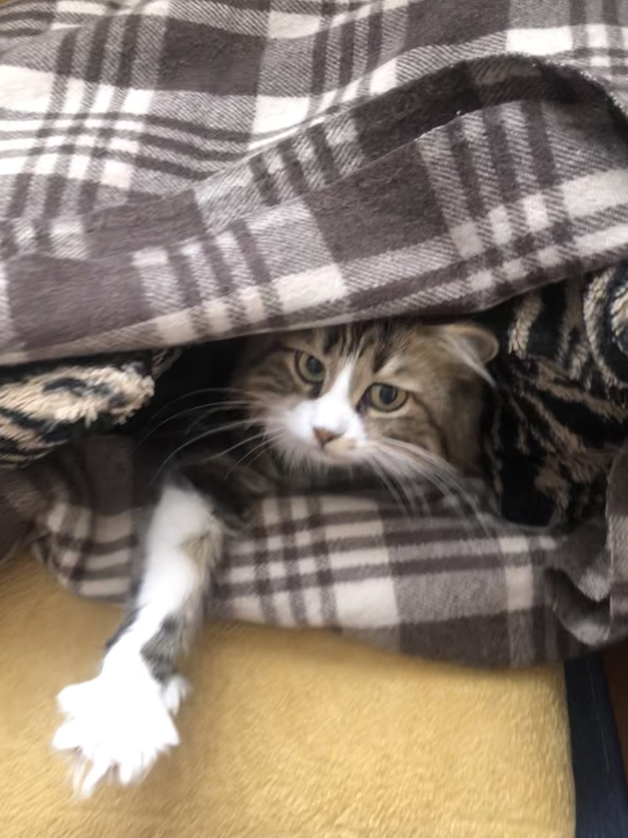 В ответ на пост « В ожидании отопительного сезона»