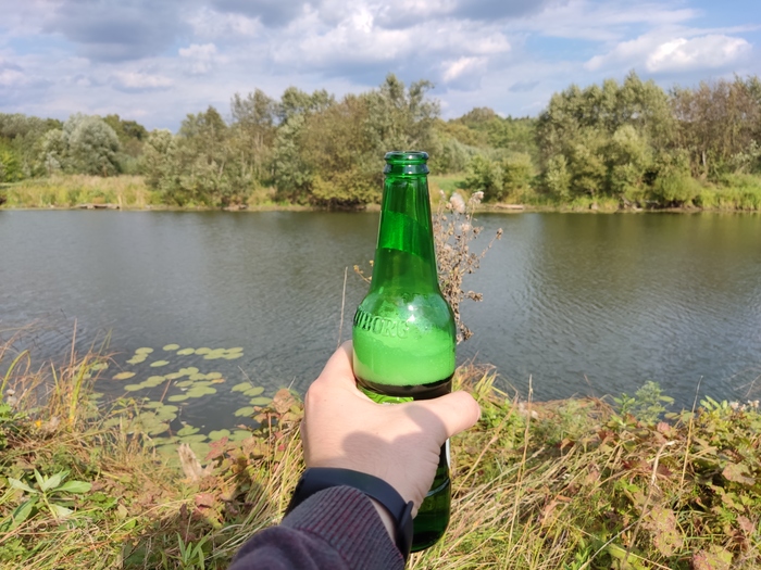 С Днём программиста!