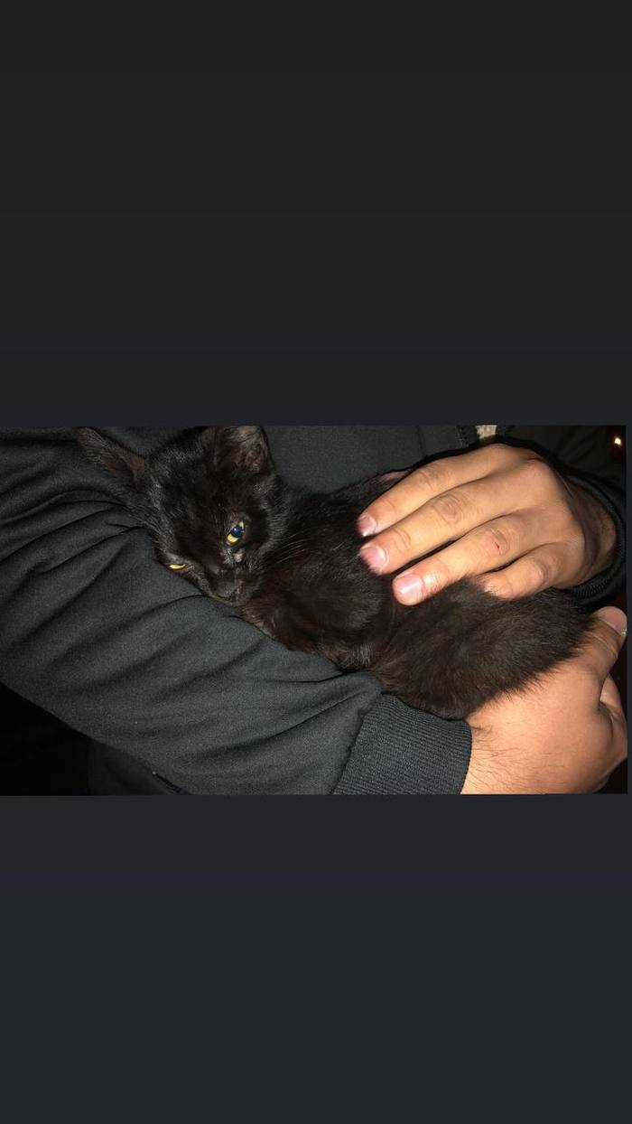 ������� �����