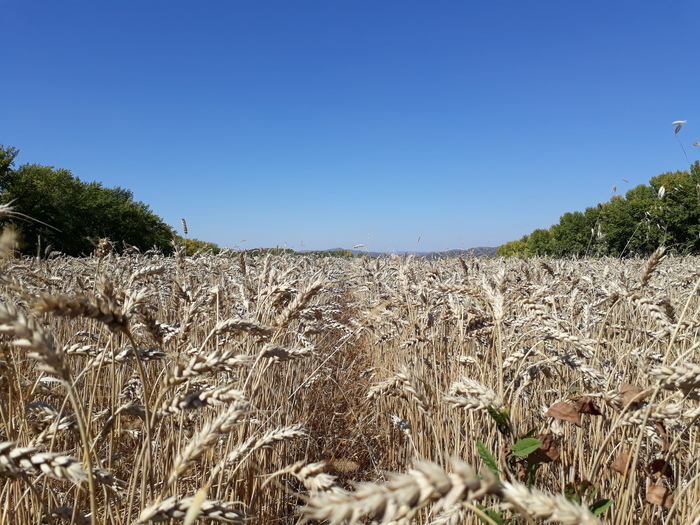 Фотоснимок #2